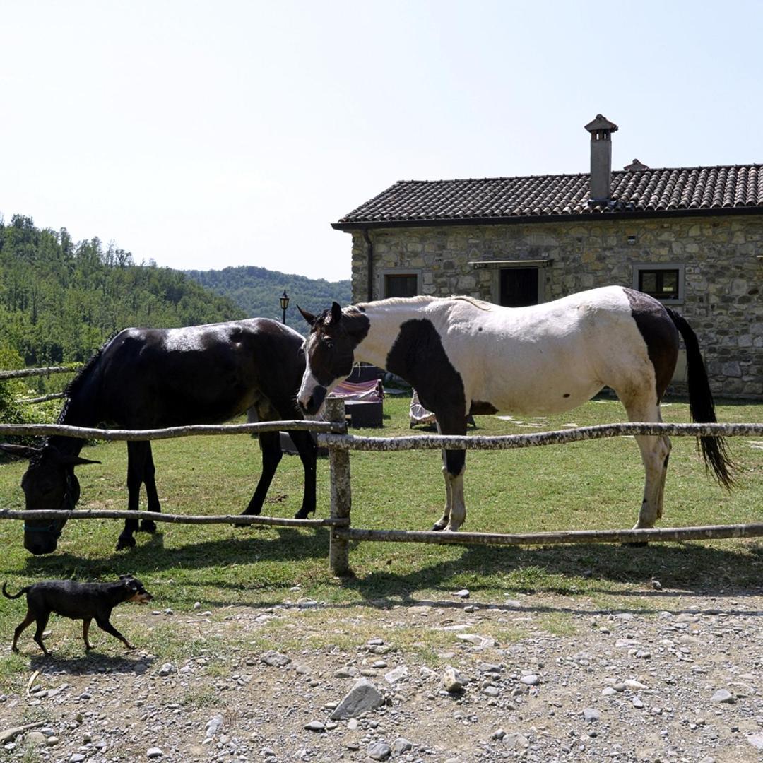 Le Chianine Dei Tognoli Villa Gragnola Екстериор снимка