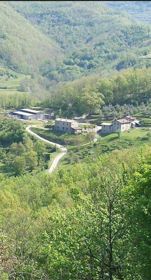 Le Chianine Dei Tognoli Villa Gragnola Екстериор снимка